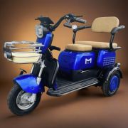 Электротрицикл Бумеранг PRO M8 АКБ 48V20Ah